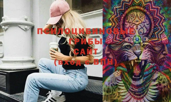 прущая мука Вязники