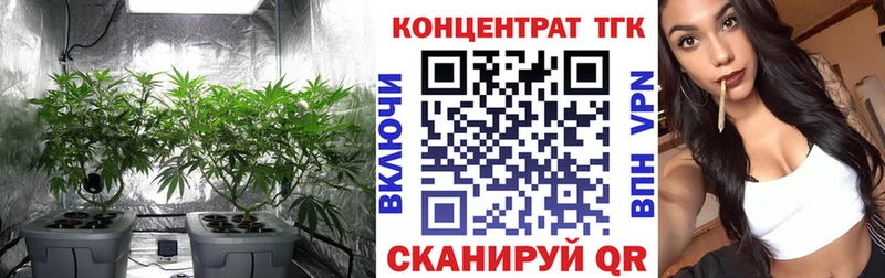 mega зеркало  Камбарка  ТГК THC oil  где можно купить наркотик 