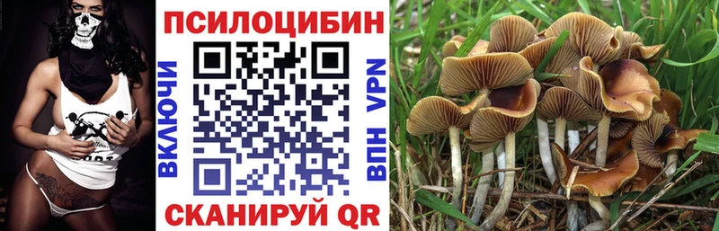 MEGA сайт  Камбарка  Псилоцибиновые грибы ЛСД 